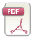 PDF-Dokument Anfangsbericht